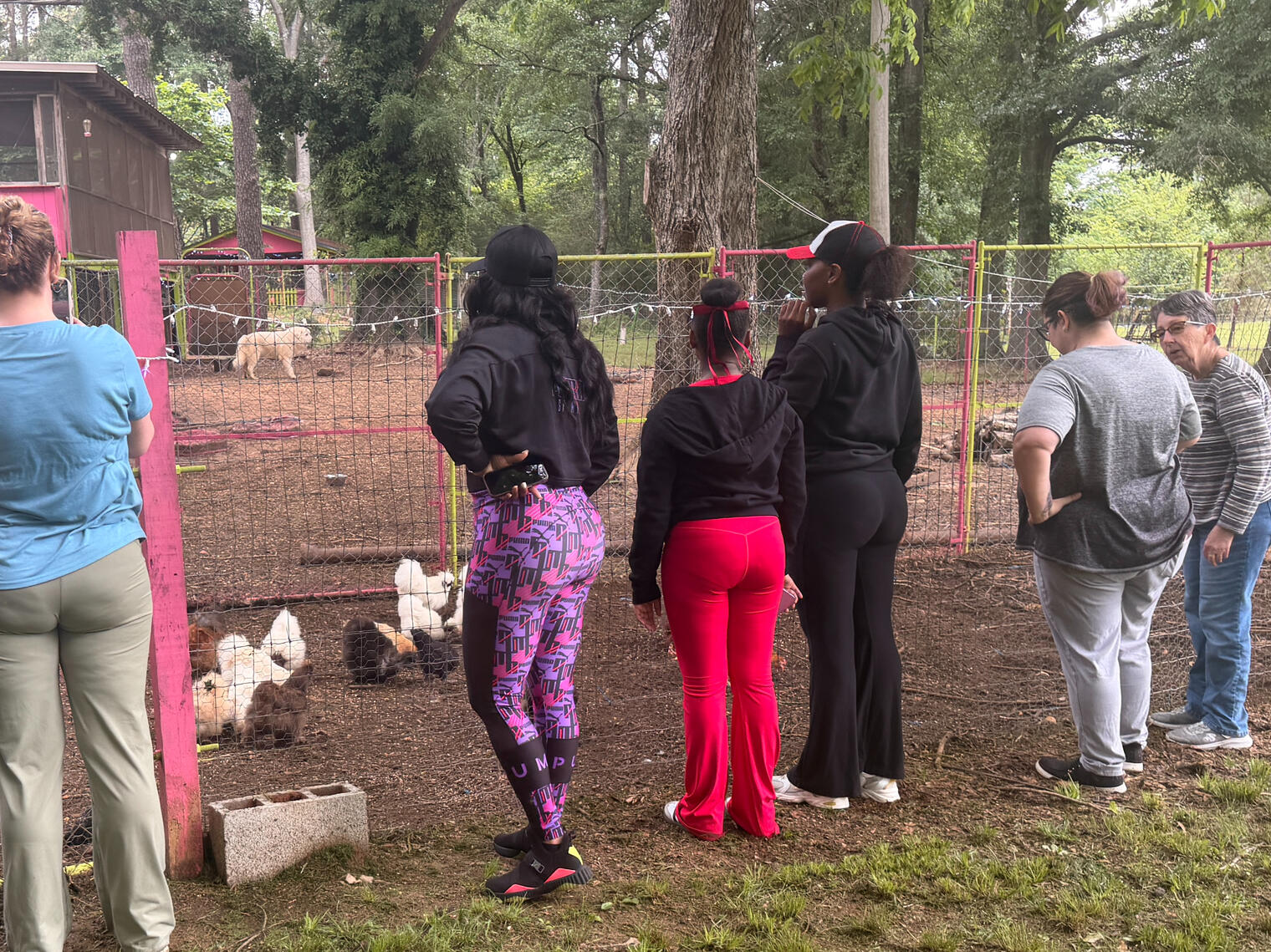 Feed Feathered Flocks